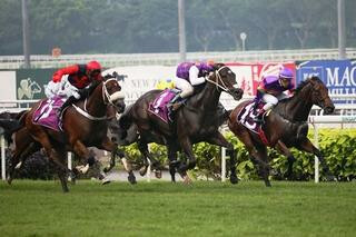 War Affair (NZ) wins the Listed Saas Fee Stakes in a dead heat. Photo: Singapore Turf Club